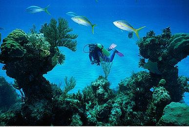 西班牙大学发布免费VR游戏 虚拟空间随意组装电脑